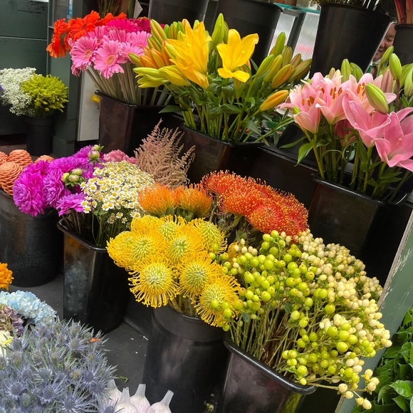 Meet your Posher, Misty - Picture 1 of 1